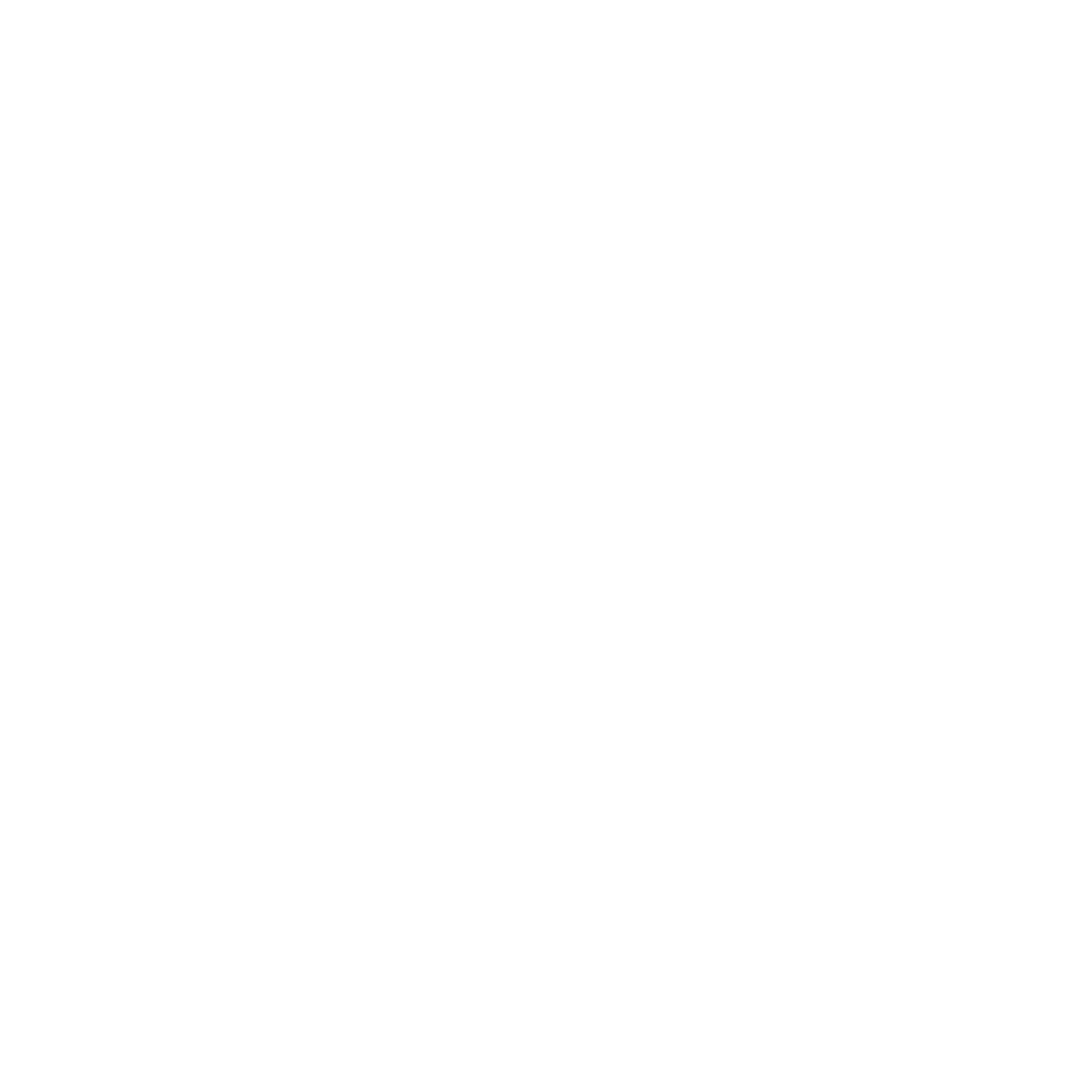 RapodQ logo